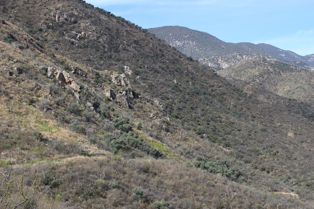 Guided%2BCoues%2BDeer%2BHunts%2Bin%2BSonora%2BMexico%2Bwith%2BJay%2BScott%2Band%2BDarr%2BColburn%2BDIY%2Band%2BFully%2BOutfitted%2B21.JPG