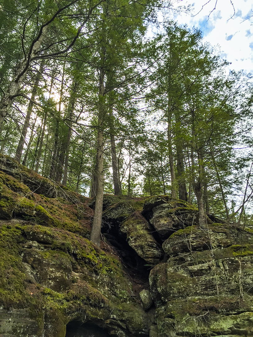 Hiking the Hemlock Trail at Mt Pisgah Hemlock Hardwoods SNA
