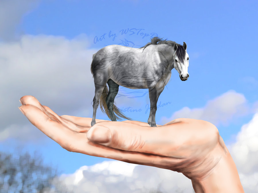 Маленькая лошадка склонение. Самые маленькие лошади в мире. Самый маленький конь. Самая маленькая лошадь. Самая маленькая конь в мире.