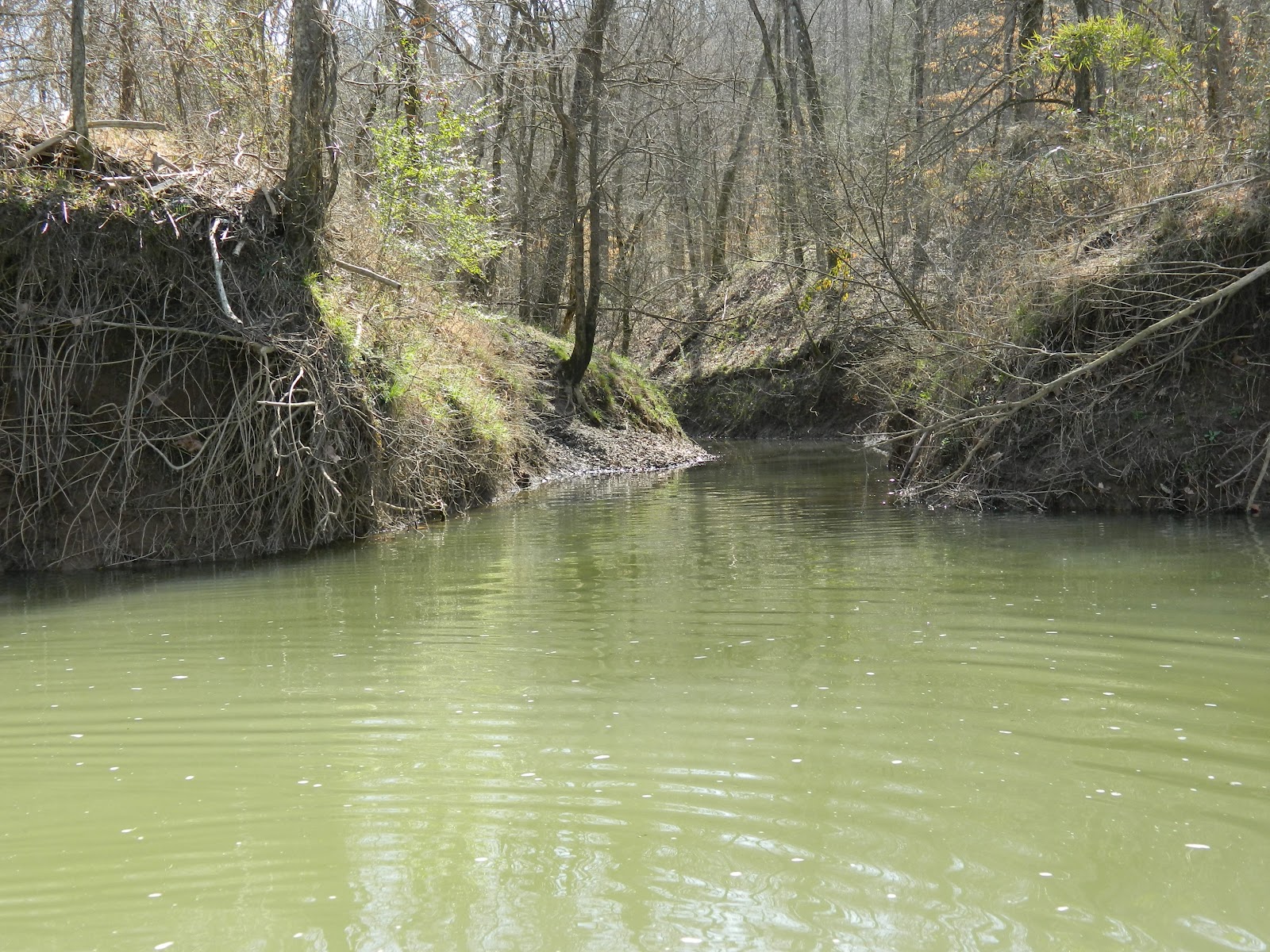 Paddle Tennessee Harpeth River The Narrows