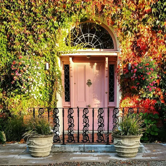 Day out in Dublin: Pink Georgian door in Ballsbridge