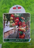 Benih tomat, Sakura F1, Tomat Sakura F1, East West, Panah Merah, Dataran tinggi,LMGA AGRO, Harga Diskon, Murah
