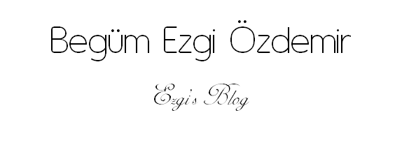 Ezgi's Blog