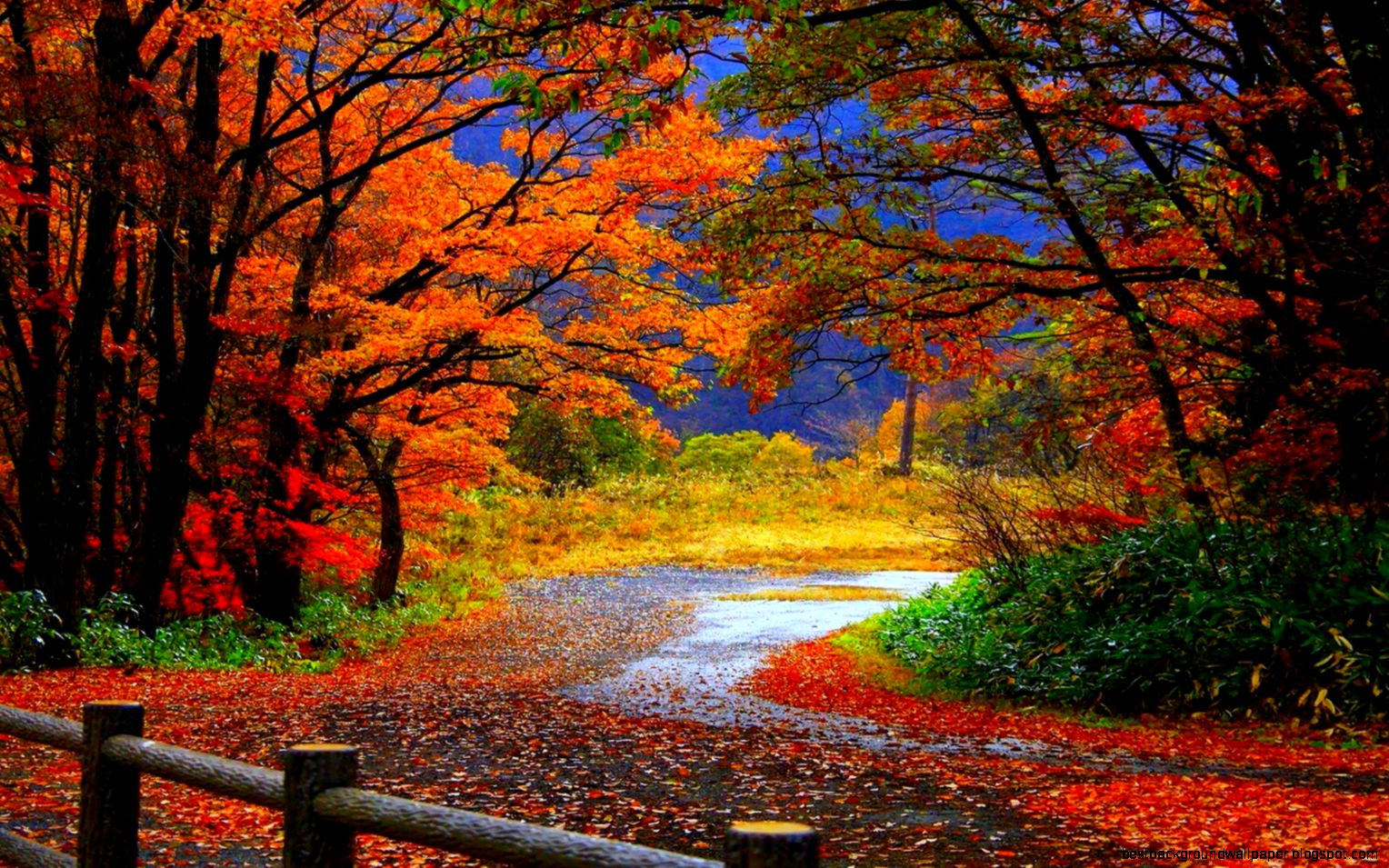 Autumn Wallpaper Hd   WallpaperSafari