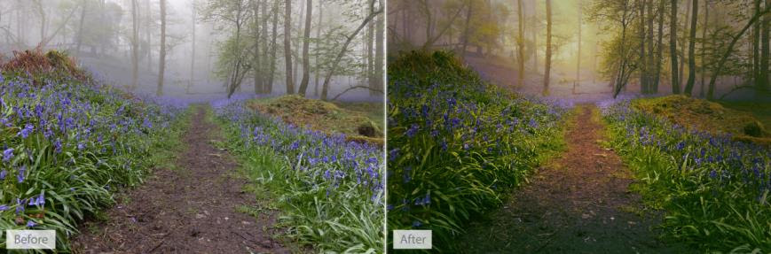 captureit landscape software captureit landscape software