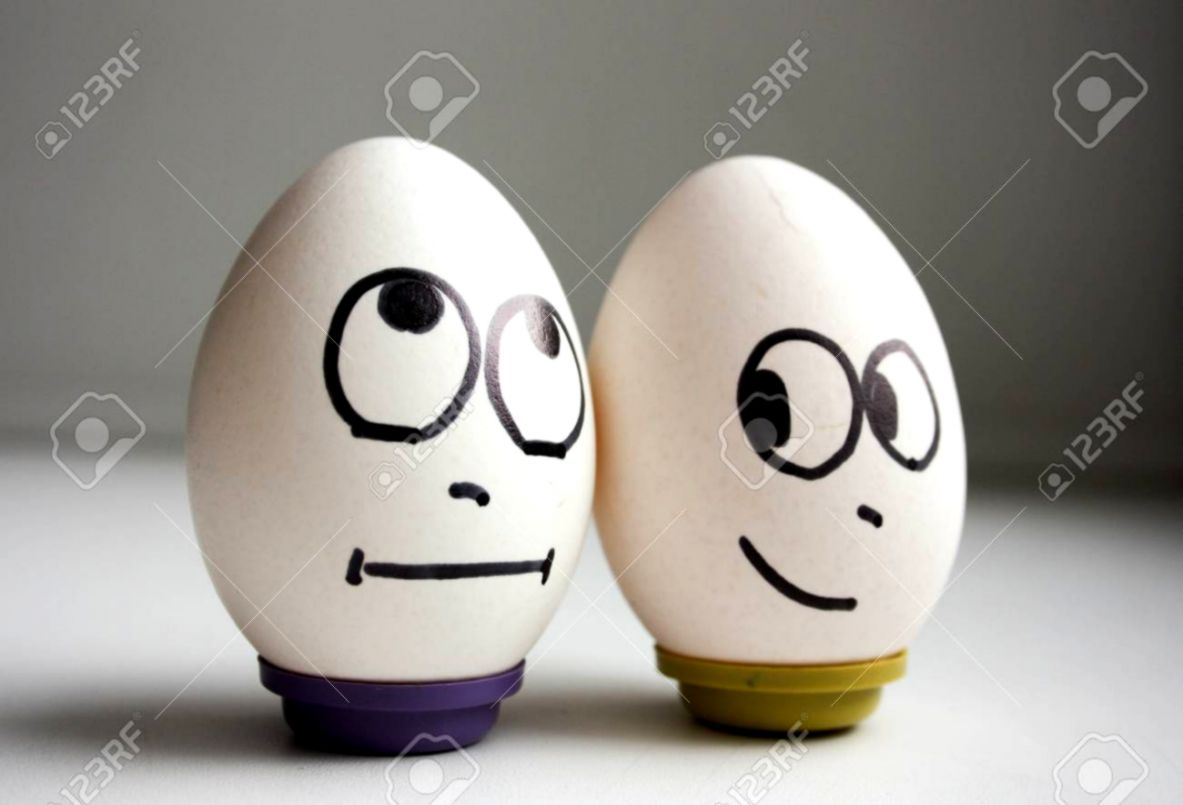 Funny Funny Eggs Two Eggs Healthy Eating Photo For Your Design Funny Funny Eggs Two Eggs Healthy Eating Photo For Your Design
