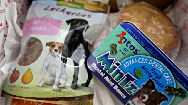 BarkBeats dog subscription box