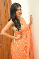 HeyAndhra Hebah Patel Sizzling Saree Stills HeyAndhra.com