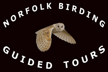 Norfolk Birding Guided Birding and Wildlife Photography