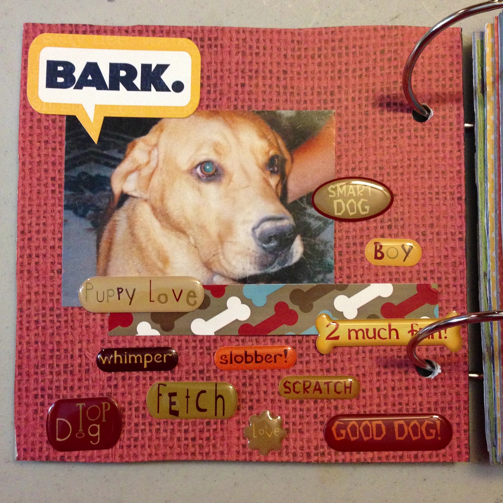 Mrs Crafty Adams Scrapbooking a Mini Book for a pet