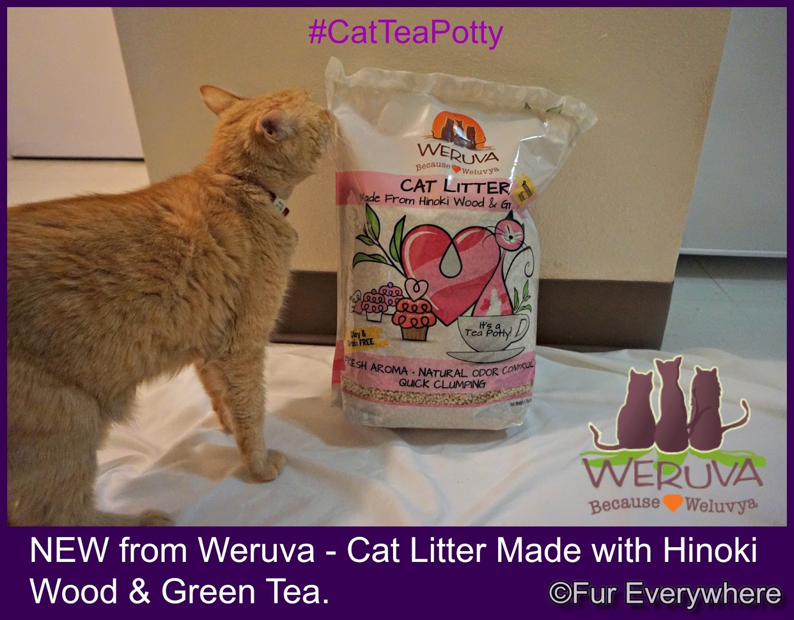 Fur Everywhere It's a CatTeaPotty with Weruva's New Sustainable Cat