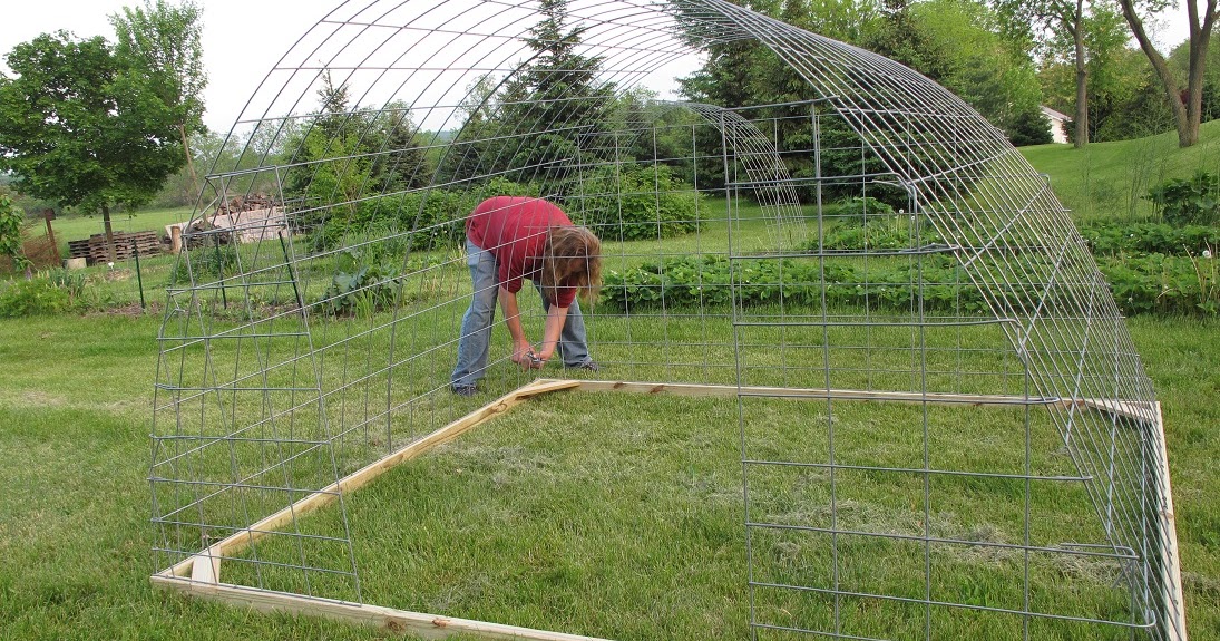 homemade-chicken-house-plans