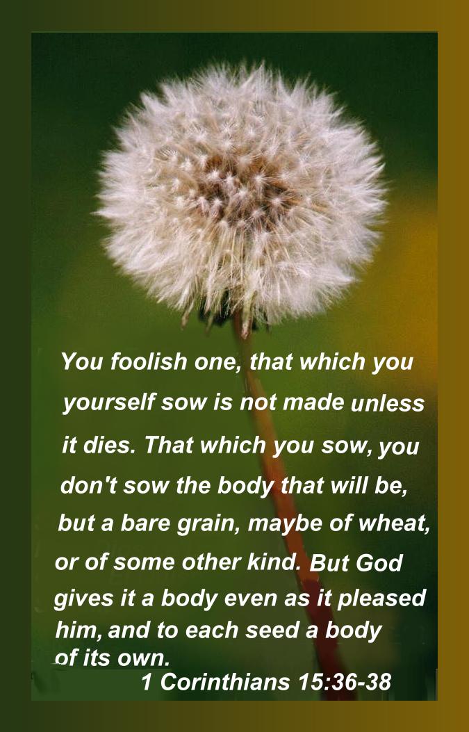 Adolfo Walter "Death is swallowed up in victory."