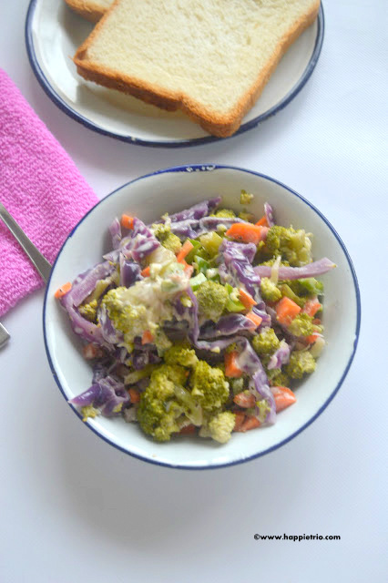 Vegetable Mayo  Salad Recipe