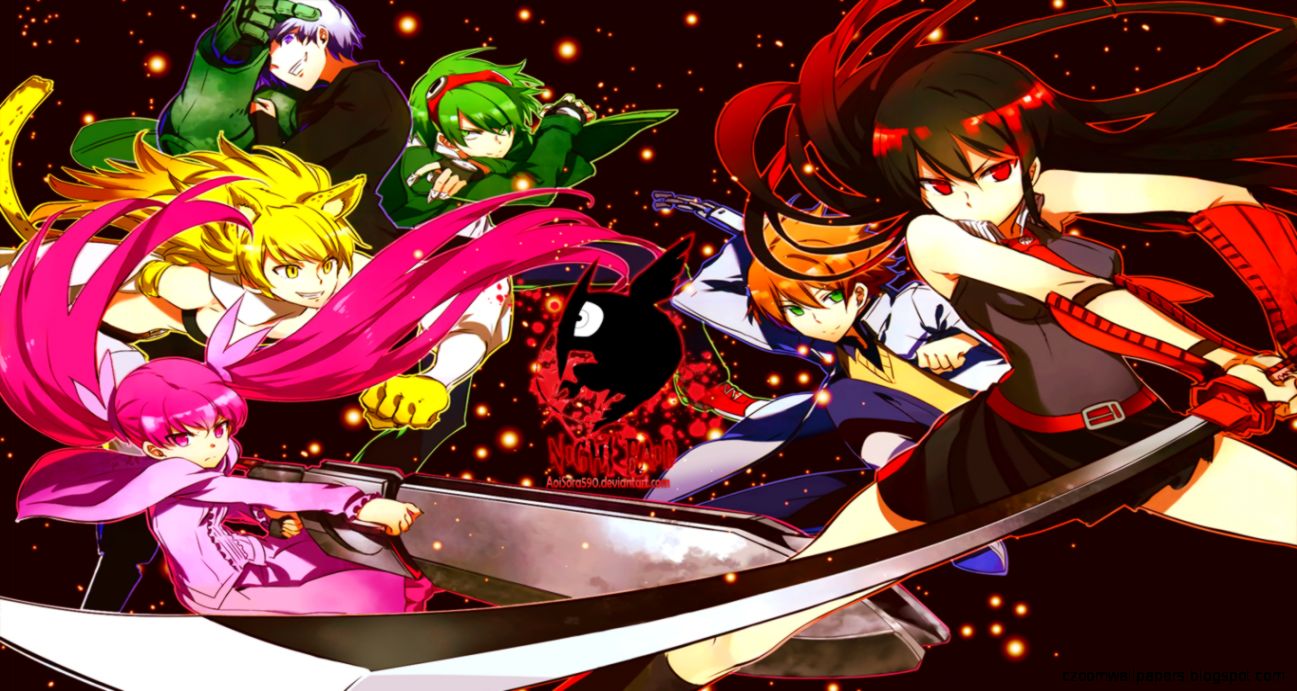 Akame Ga Kill Wallpaper by AoiSora590 on DeviantArt