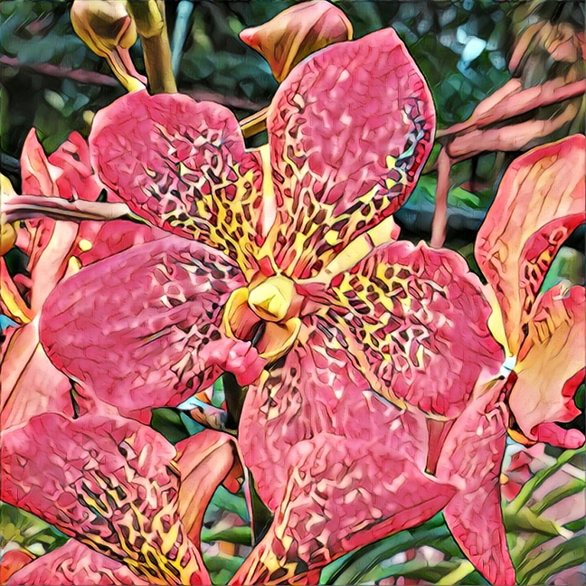 My Image 36
