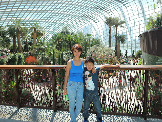 Singapore Flower Dome Singapore Flower Dome