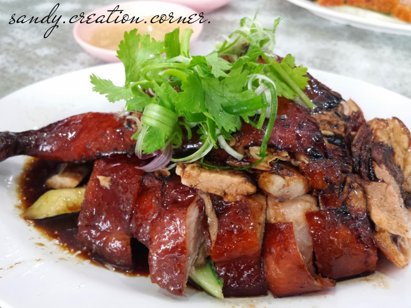 Sandy.Creation.Corner: 2013.11.25-Lee Fun Nam Kee Chicken Rice 李范南记鸡饭 (二访)