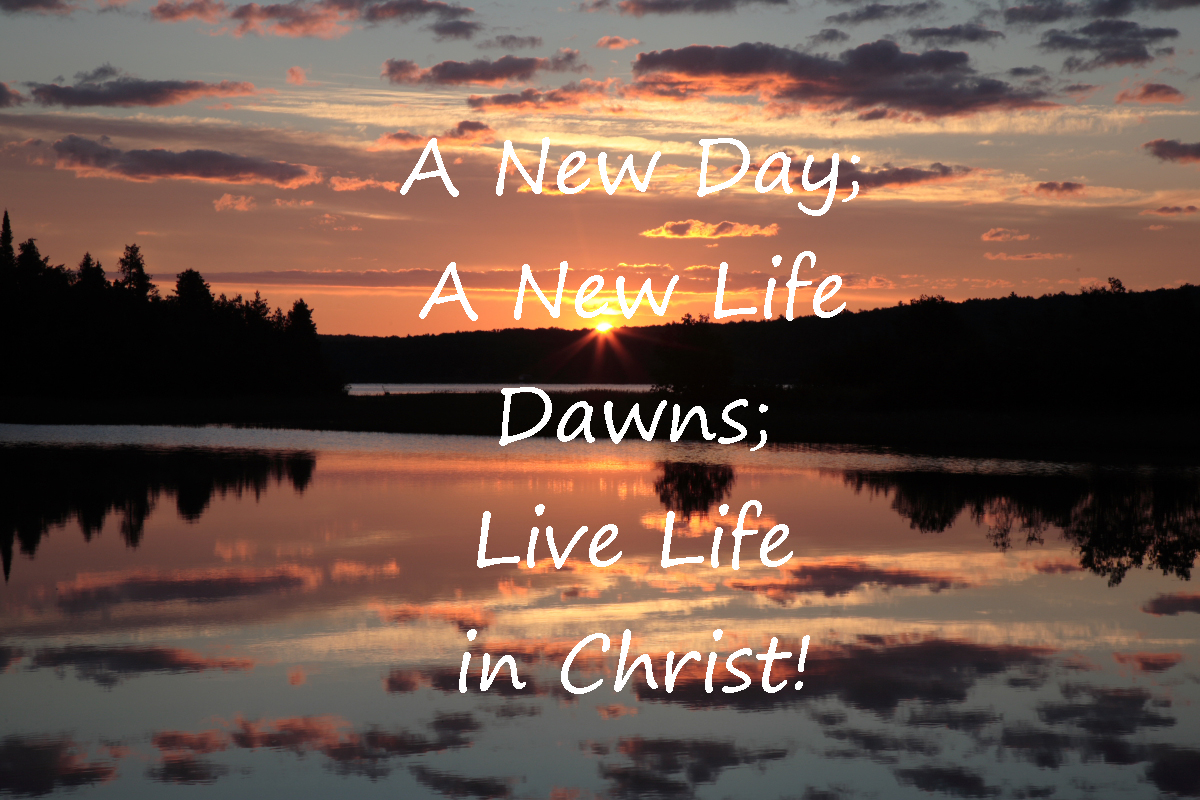 Its new life. New Day New Life. Фото a New Day. New Day - New Life цитаты. 1981 - New Life.