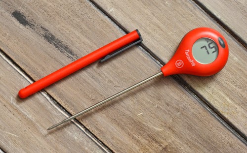 Nibble Me This: Product Review: Thermoworks Thermopop and TimeStick
