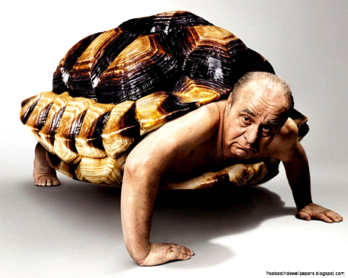 Old Man Funny Turtle Pictures