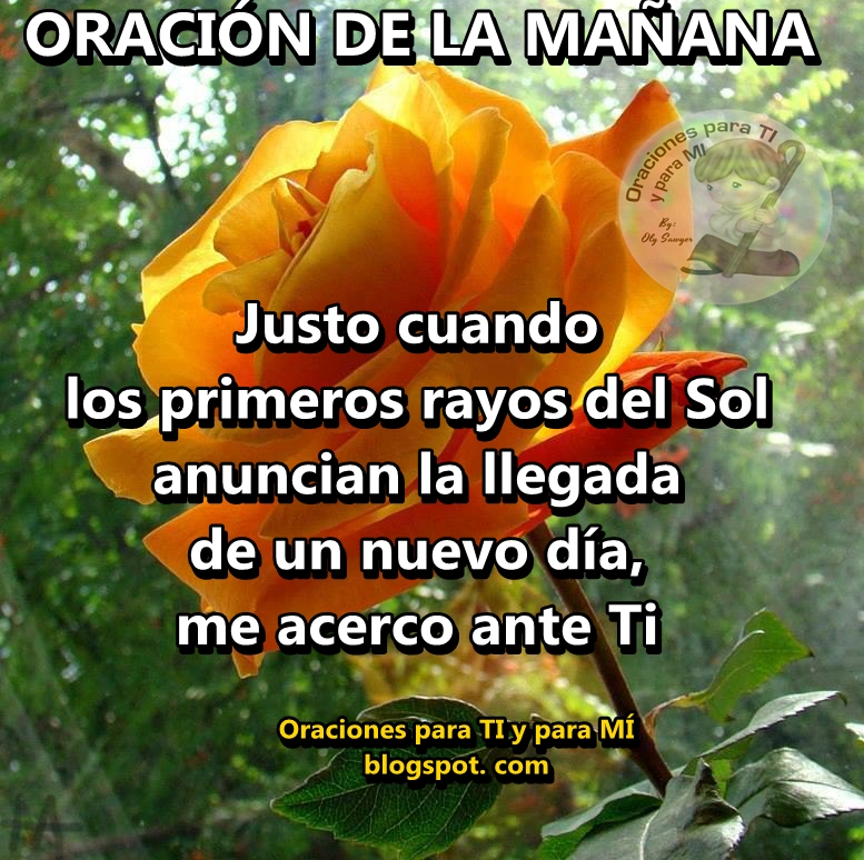 Lista 94+ Foto Frases De Pedir A Dios Que Todo Salga Bien El último Lista 94+ Foto Frases De Pedir A Dios Que Todo Salga Bien El último