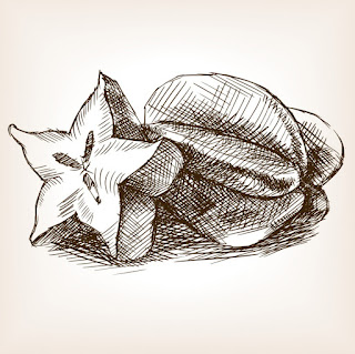 Sketsa Buah Belimbing Sketsa Buah Belimbing