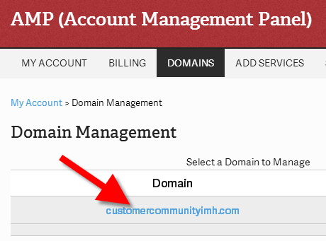 How to Change Your Domain Nameservers in AMP