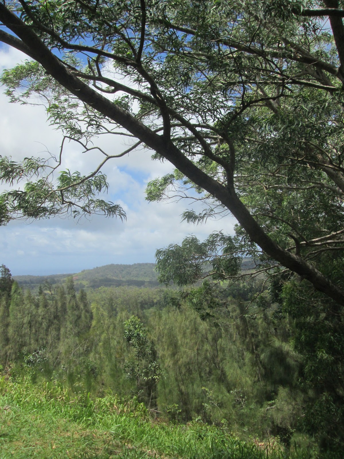 Aloha On My Mind Aloha to Pupukea Boy Scout Camp