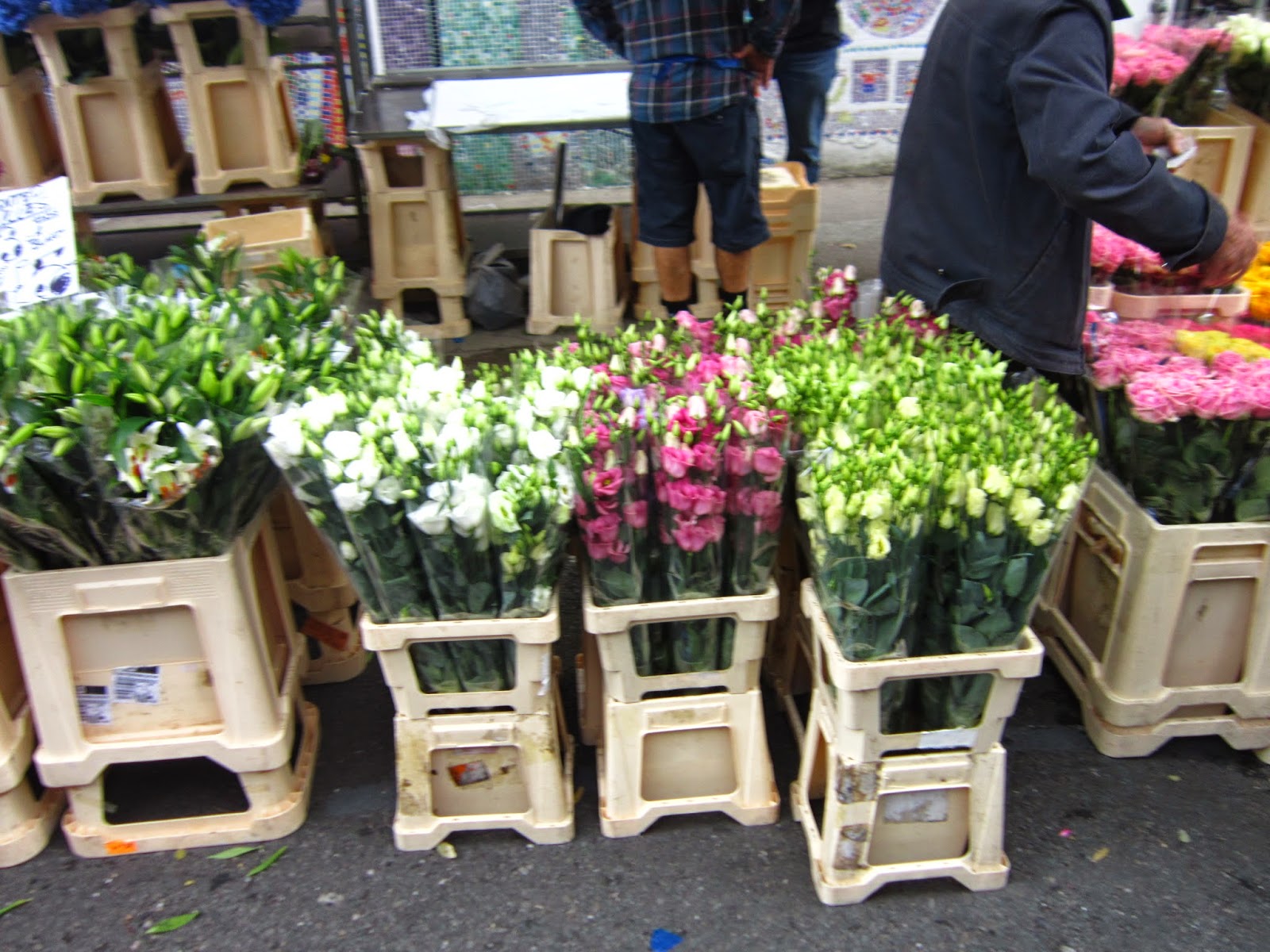 Nincula Columbia flower market