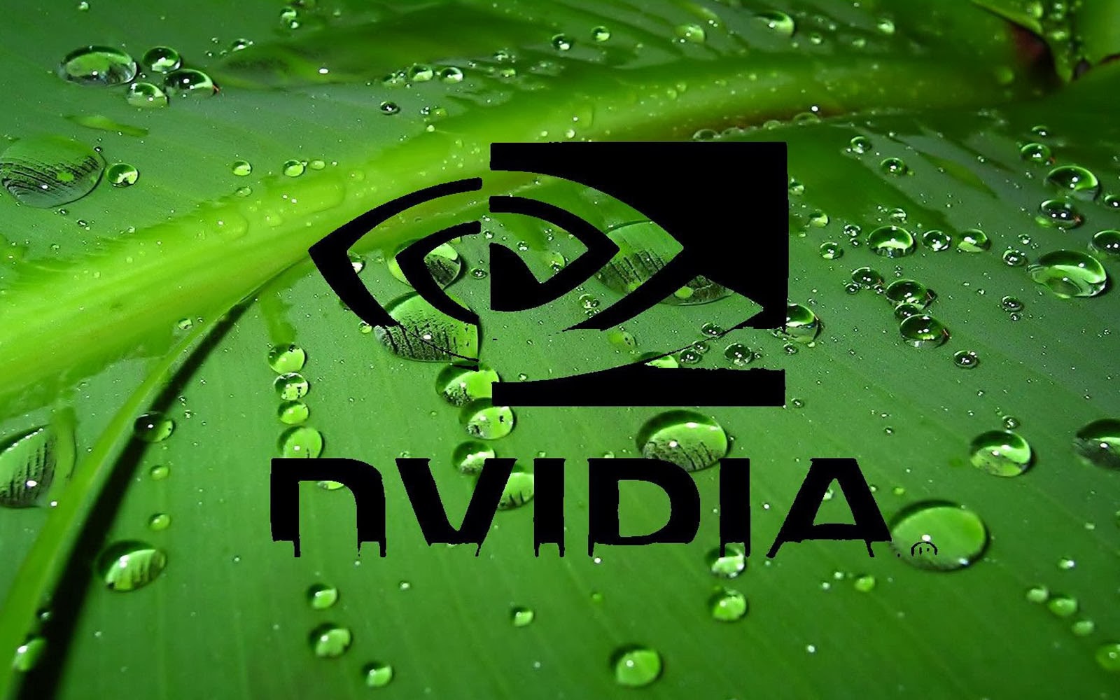 Nvidia Wallpapers