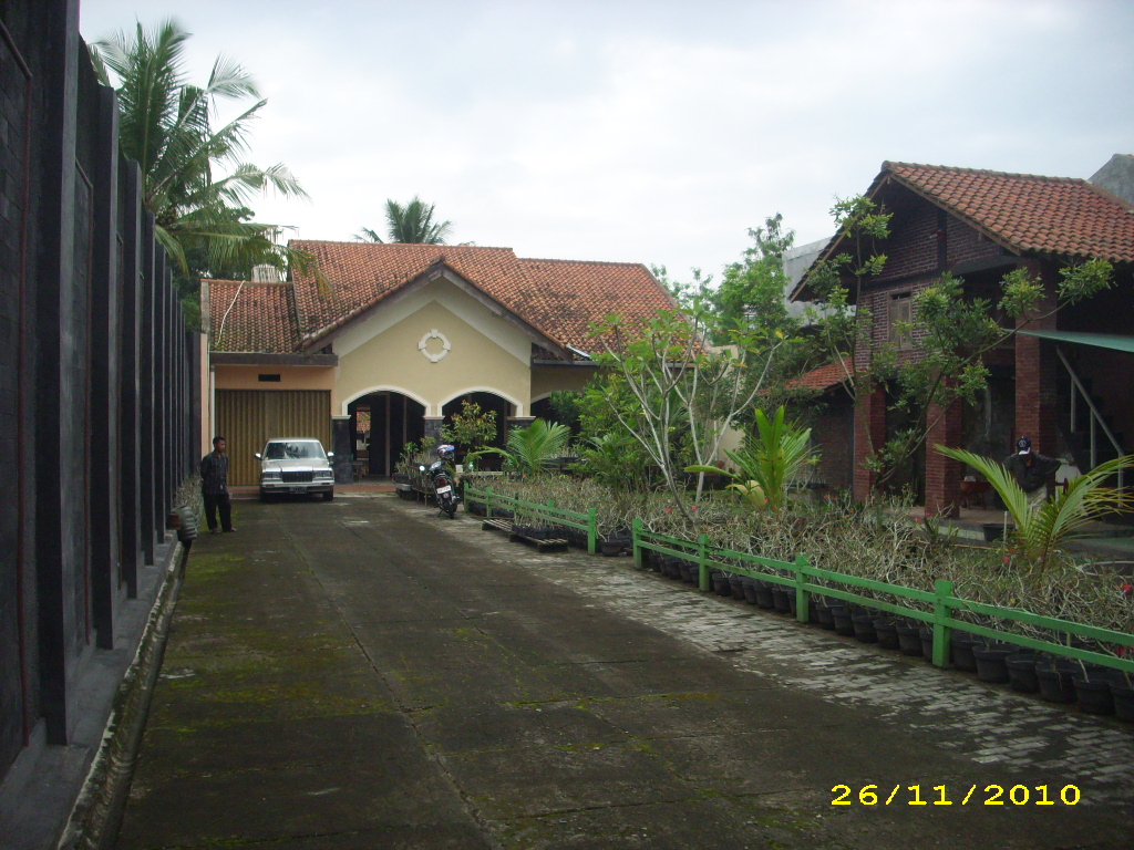 yogya nginap murah: HALAMAN YANG HIJAU DAN ASRI