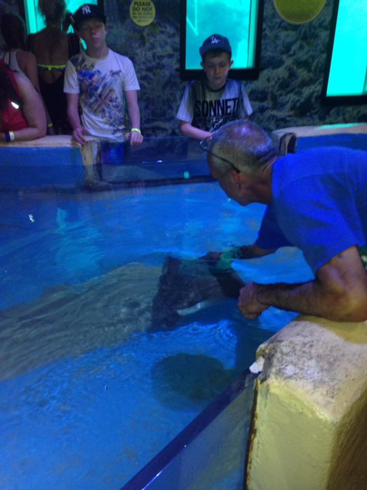 FreeSenseNews MY REVIEW OF THE CLEARWATER MARINE AQUARIUM