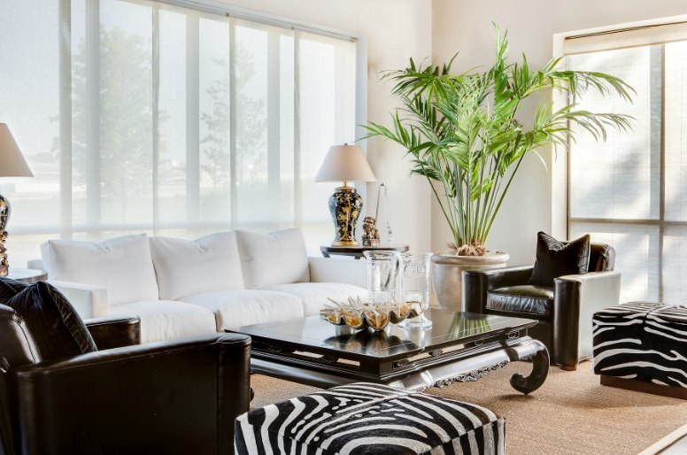 Requisitos básicos para una Sala de estar - ideas interesantes para el