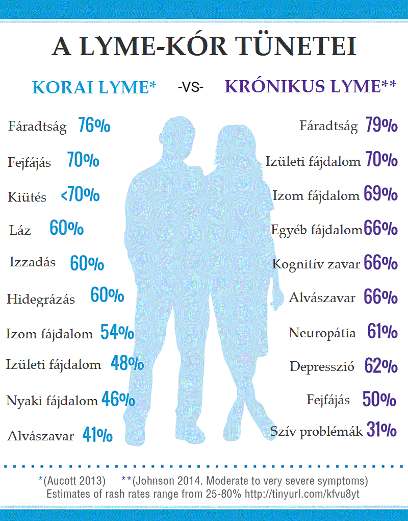 Lyme Kor Borreliozis