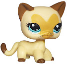 Littlest Pet Shop Singles Siamese (#3573) Pet