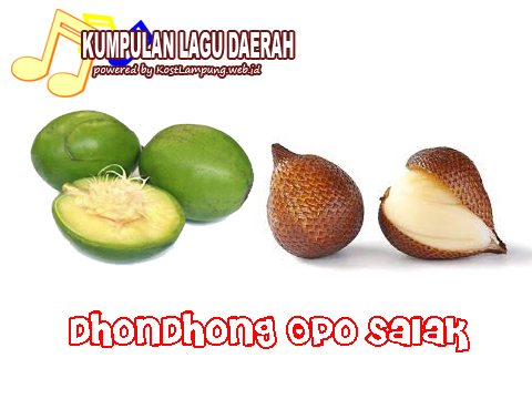 Lirik Lagu Dhondhong Opo Salak Kumpulan Lagu Daerah