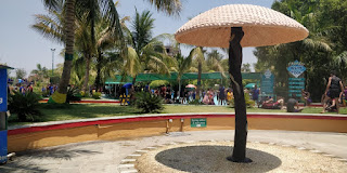 wet n joy water park shirdi entry fee