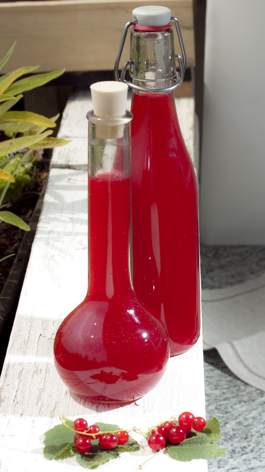 Annetts kulinarisches Tagebuch: Limes aus roten Johannisbeeren