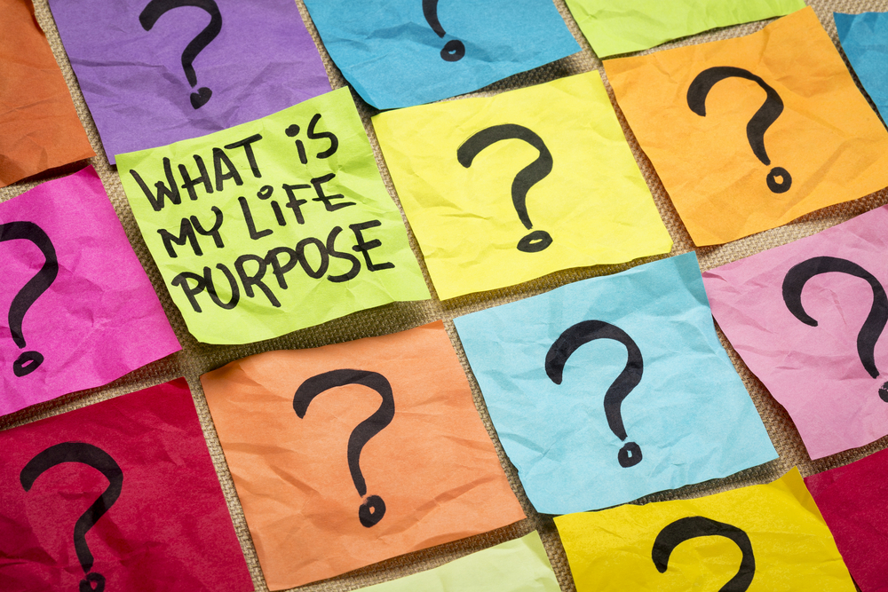 Question of purpose. Purpose. My purpose in Life. What is the purpose. Finding the purpose of Life.