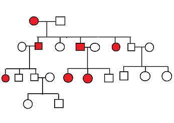Pedigree Ysis Problems With Answers Pdf Parlo Buenacocina Co Pedigree Ysis Problems With Answers Pdf
