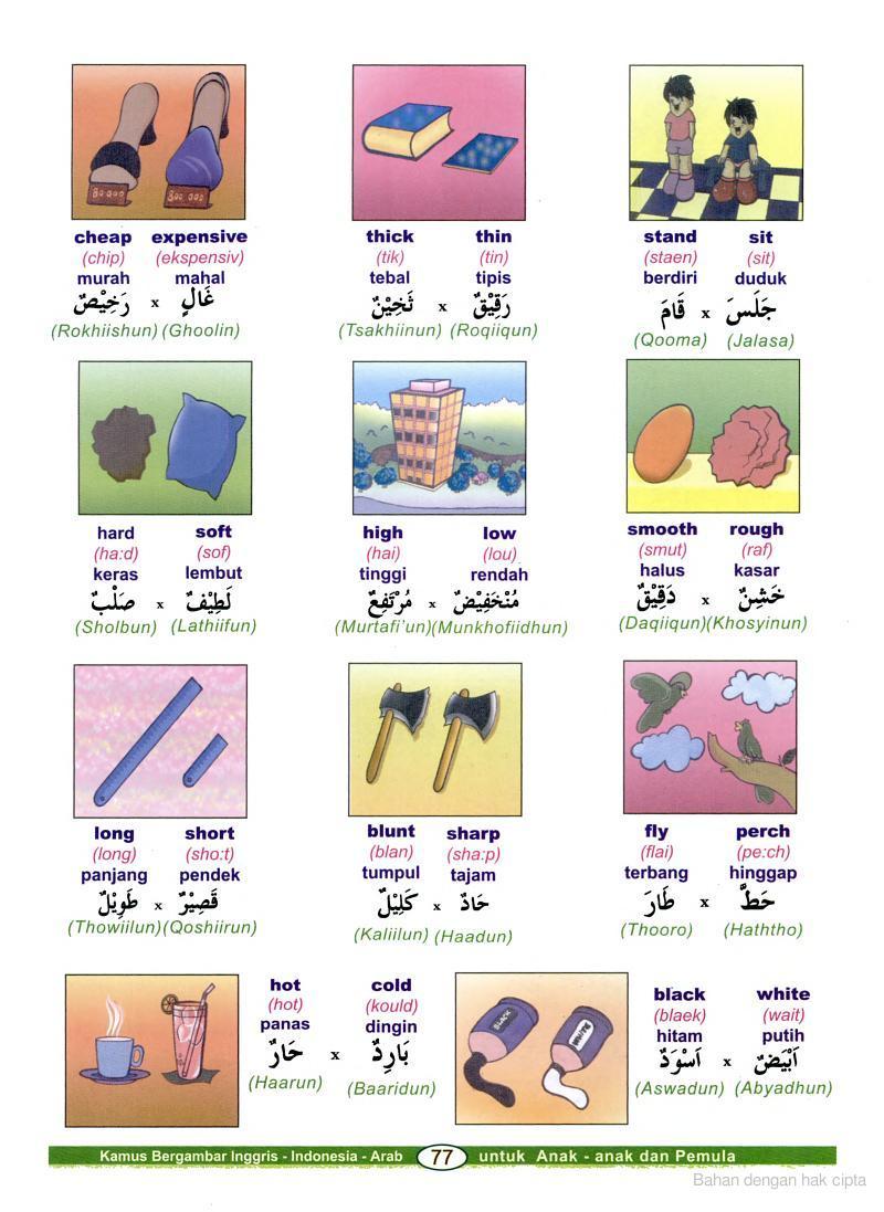 KETIKAN Kamus Bahasa  Arab  Bergambar