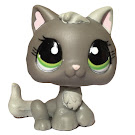 Littlest Pet Shop Singles Kitten (#1035) Pet