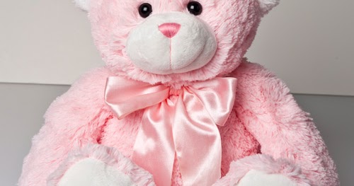 my favourite teddy bear