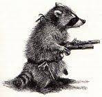Raccoons MoFo!!!
