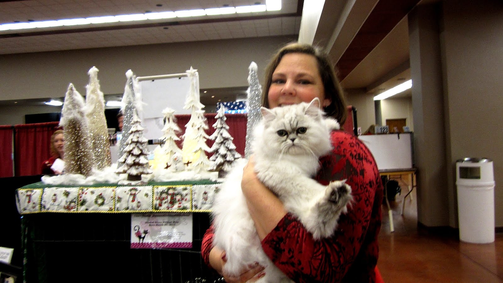 PetSmart Cat Grooming Phoenix Cat Choices