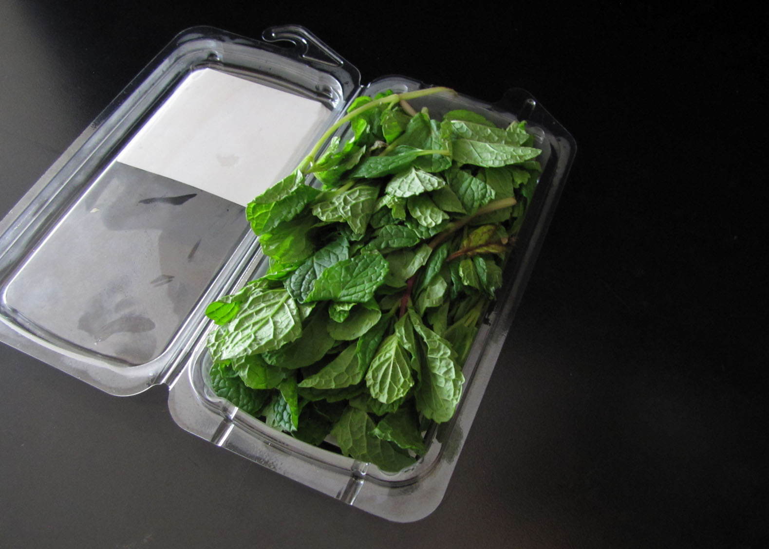 Smells Like Food in Here Harvest Sensations Fresh Mint