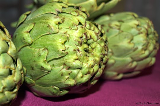 Alcahofas HortoGourmet