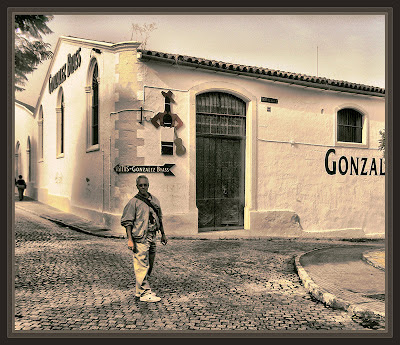 JEREZ DE LA FRONTERA-BODEGAS-GONZALEZ BYASS-VIAJES-FOTOS-PINTOR-ERNEST DESCALS-