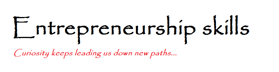 Entrepreneurship Skills
